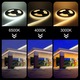Kit Banda LED COB 220V, 100M, 10W/m, 12mm, IP65, Alb Rece 6500K