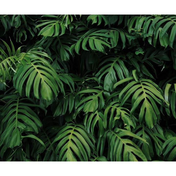 Стъклен панел за кухня, принт ПАЛМОВИ ЛИСТА, октопод oct251, 60x50cm