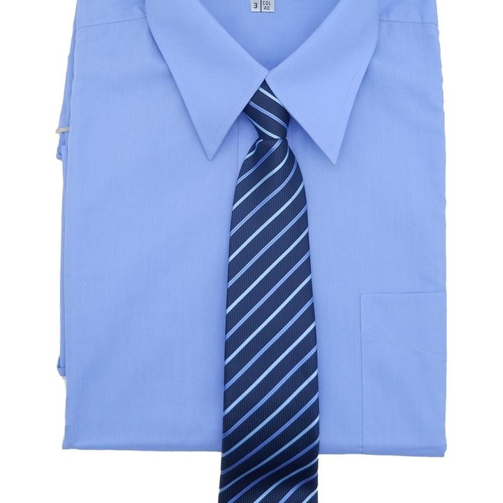 Cravata barbati, Cravate cu fermoar pretensionate poliester, albastru, 47x8cm