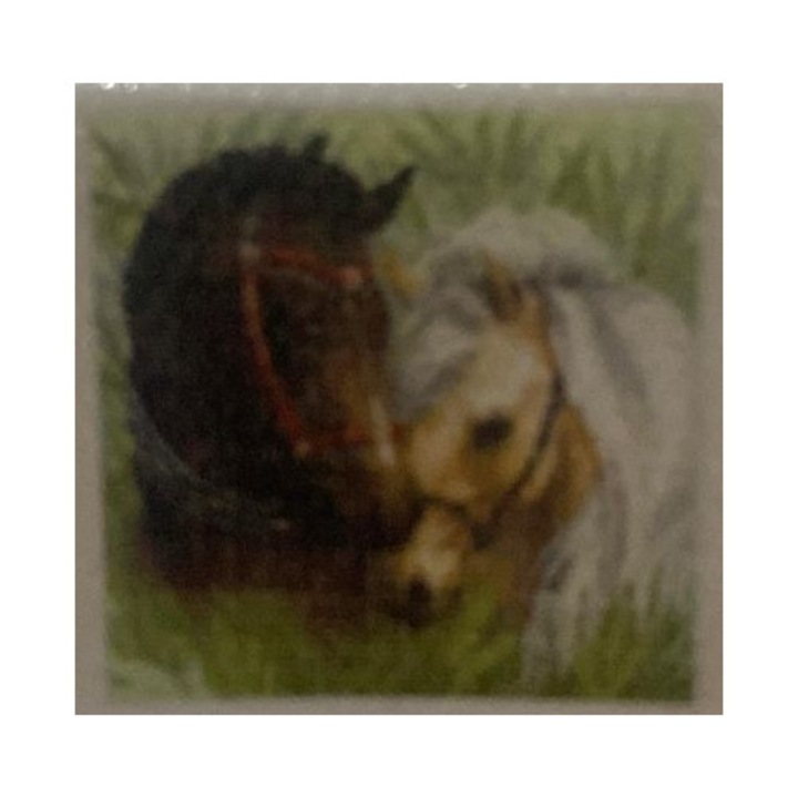 Tablou Goblen cu pietre 5D, pictura cu diamante, Kdf, 20 x 20 cm, caluti, rama lemn