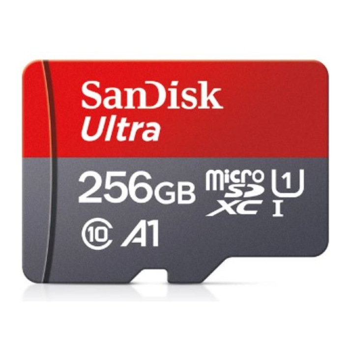 Card de memorie SanDisk 256 GB
