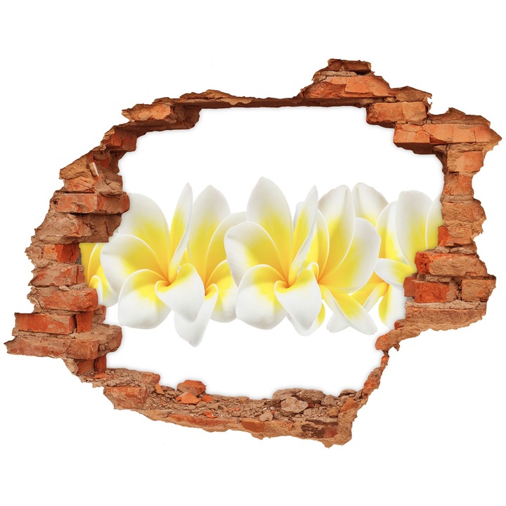 Autocolant decorativ pentru gaura. Tulup. Plumeria. 120x93 cm. 010120080040000006311