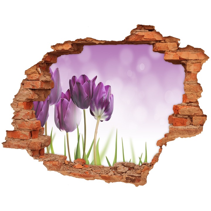 Autocolant decorativ pentru gaura. Tulup. Lalele fileului. 120x93 cm. 010120080040000006328