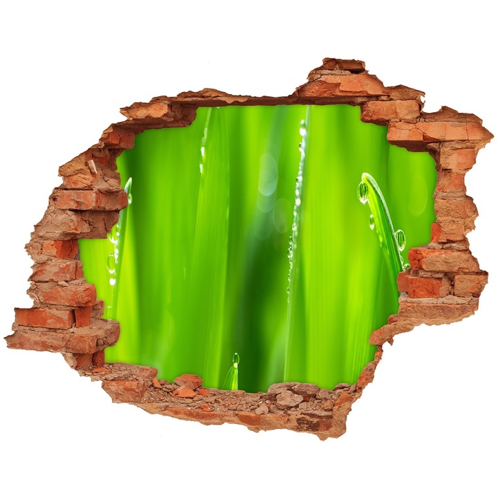 Autocolant decorativ pentru gaura. Tulup. Ovaz tanar. 120x93 cm. 010120080040000006259