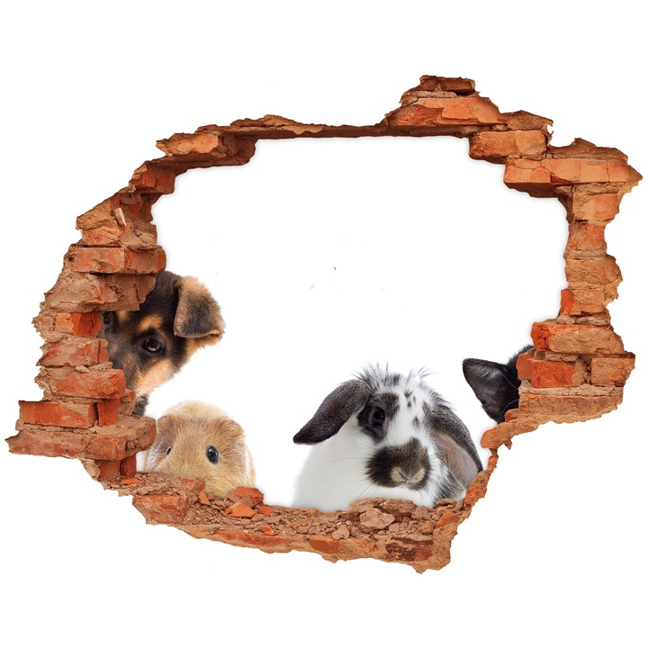 Autocolant decorativ pentru gaura. Tulup. Animale de companie. 120x93 cm. 010120080040000005604