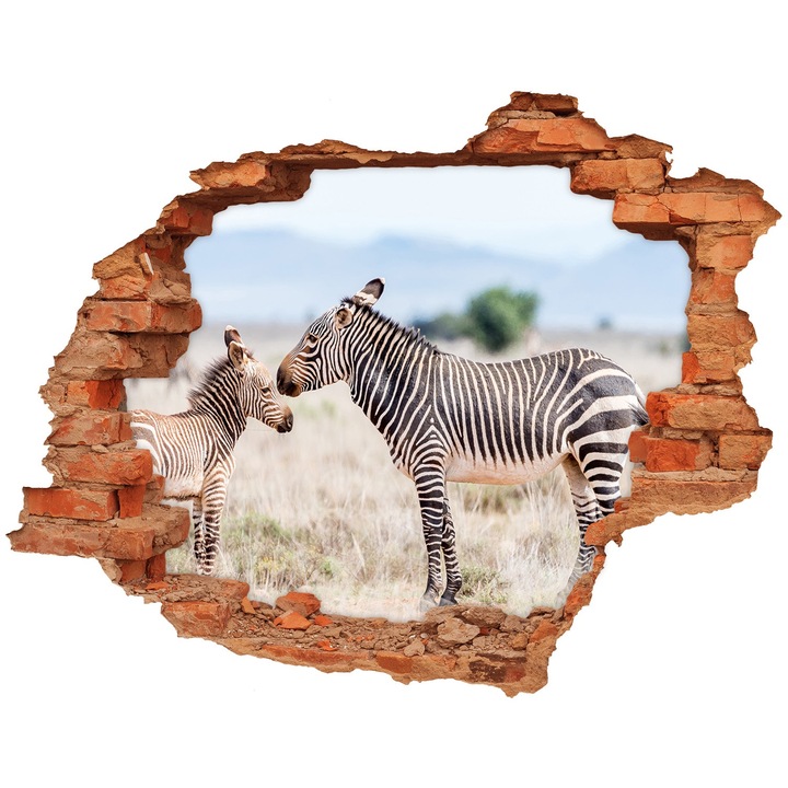 Autocolant decorativ pentru gaura. Tulup. Zebra in munti. 120x93 cm. 010120080040000005608