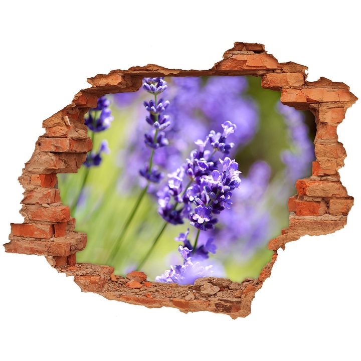 Autocolant decorativ pentru gaura. Tulup. Lavanda. 120x93 cm. 010120080040000006426