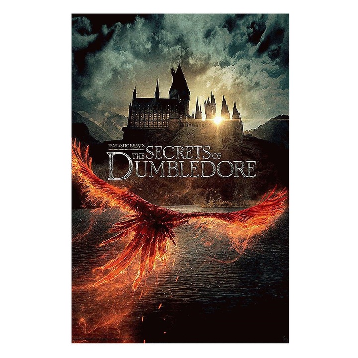 Fali poszter 91,5 x 61 cm Fantasztikus állat, Dumbledore Phoenix titka, 170g/m2