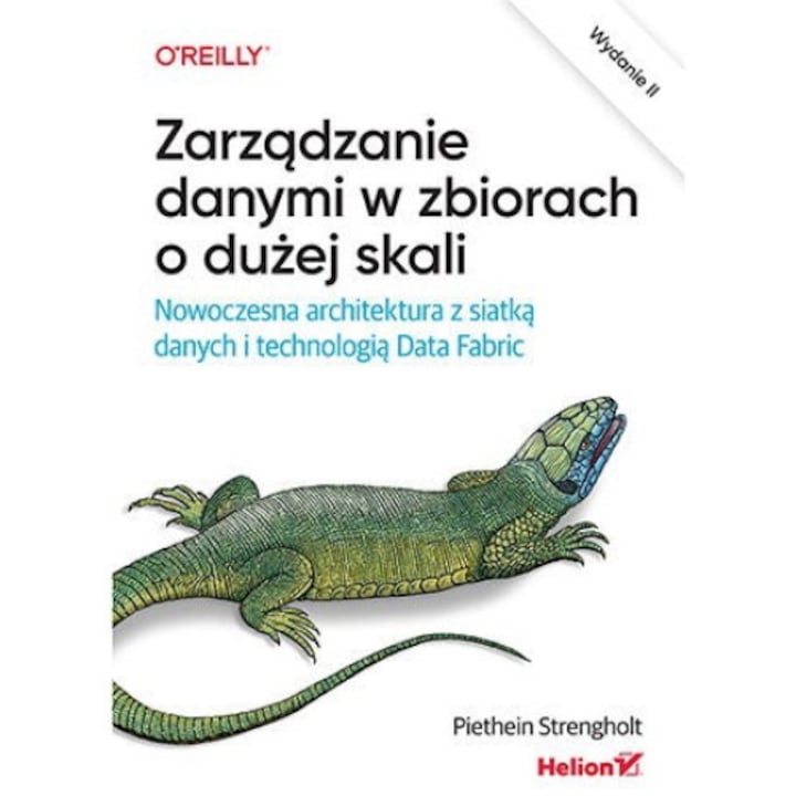 Zarzadzanie danymi w zbiorach o duzej skali, Piethein Strengholt, HELION, 2024