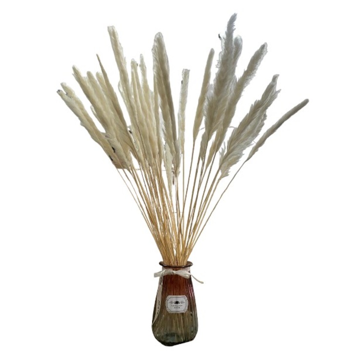 Set Vaza Decorativa Sticla cu Flori Artificiale Pampas