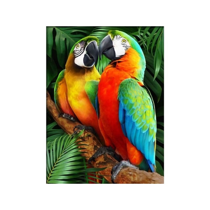 Set mozaic diament, DK, Colorful Parrots, 30x40cm