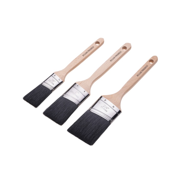 Set pensule unghiulare BULGARPROGRESS, 3 buc