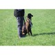 Recompense Pentru Caini, Happy Dog, Healthy Weight, 100 g