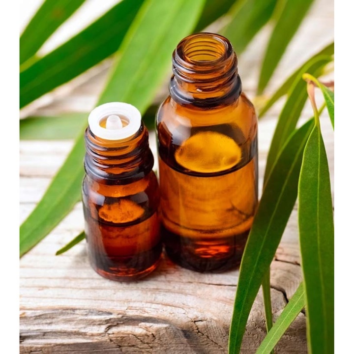 Ulei esential de Eucalipt (Eucalyptus Globulus), pur natural, fara adaosuri, Solaris, 10ml, Seva Plant