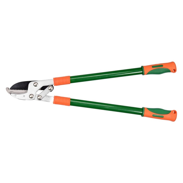 Cleste gradinarit, Toya, 69cm