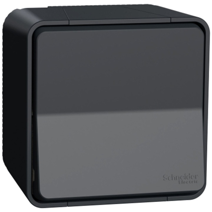 Intrerupator bipolar Schneider Mureva MUR35033, montaj aplicat, IP55, Gri