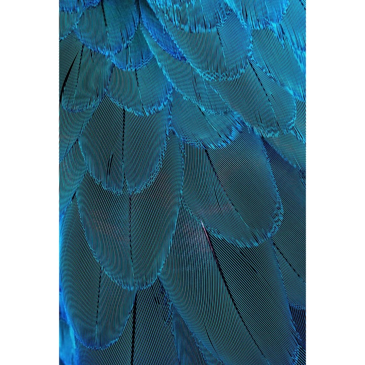 Tapet Premium Canvas, Abstract pene albastre holografic, 250 x 360 cm