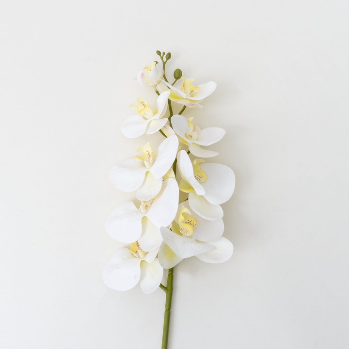 Fir orhidee artificiala, 9 flori, culoare alb, H 97 cm, B.S.P. / CD2012_1