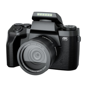 Aparate foto compacte