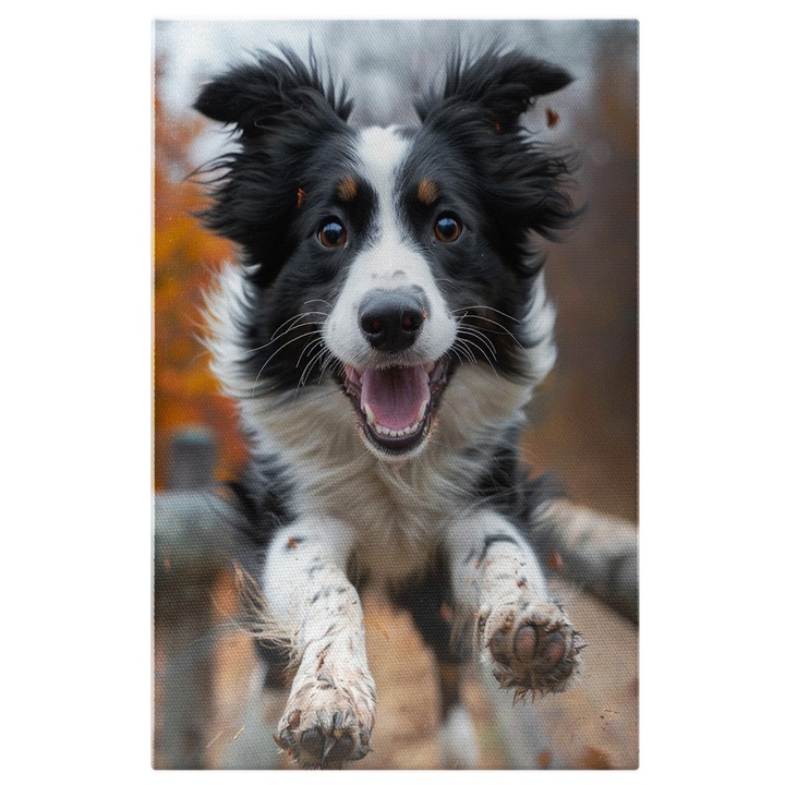 Vászonfestés Vidám kutya fekete-fehér bundával és barna szemekkel ugrik a fakerítések között, Happy Dog, digitális festmény 90x60cm