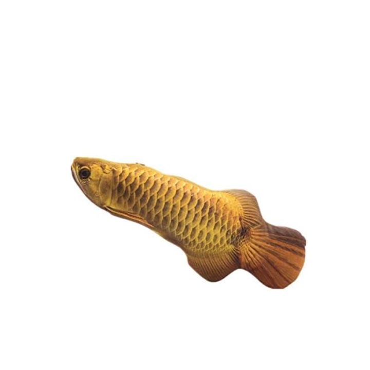 Jucarie pentru pisici, Zola, de plus, model Scleropages jardinii, maro