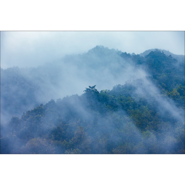 Fototapet Muralo, Vedere la munti, 135 cm x 90 cm padurea tropicala ceata