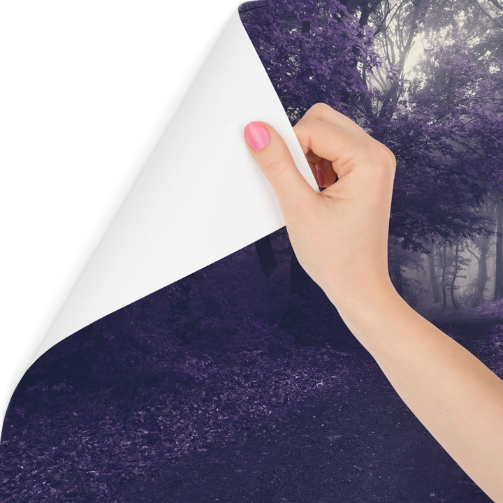 Fototapet Muralo, Peisaj, Drum Forestier Mov, 400 cm x 280 cm Decor Pentru Sufragerie
