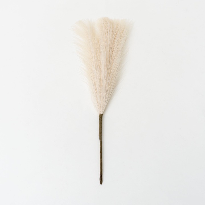 5 db pampa cérna készlet, krém színű, H 42 cm, BSP / SL400_1