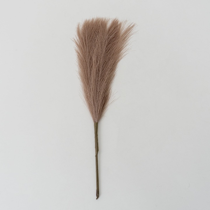 5 db pampa cérna készlet, barna színű, H 42 cm, BSP / SL400_5