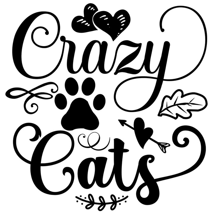 Sticker Exterior cu inimioare pentru crescatorii de pisici nebunatice, Vinyl Negru, 25 cm