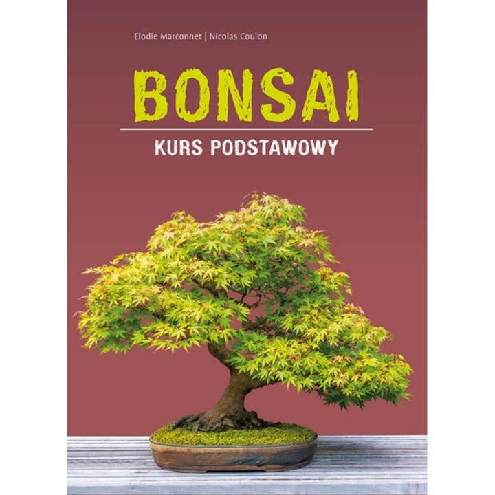 Bonsai, Elodie Marconnet, Nicolas Coulon, 2024