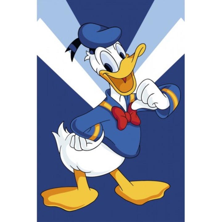 Pictura dupa numere, Art-hobby, Disney, 30 x 40 cm, Multicolor