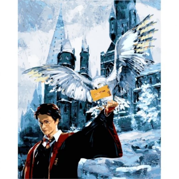 Рисуване по номера Art-hobby, Хари Потър, 08091, размер 40x50 см, детски