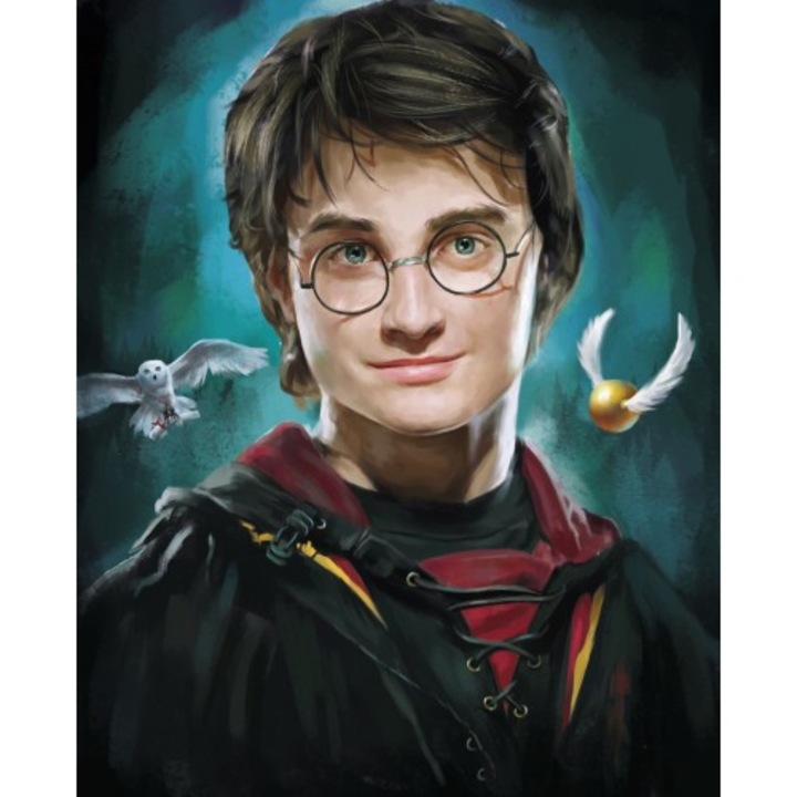 Рисуване по номера Art-hobby, Хари Потър, 08093, размер 40x50 см, детски