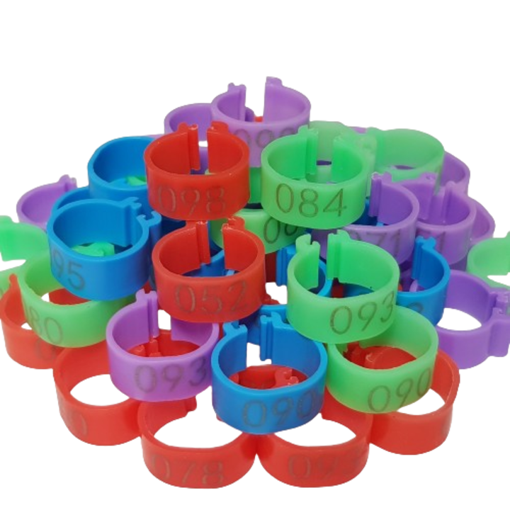 50 db-os számozott gyűrű készlet, 16 mm, Tyúkok számára, Többszínű
