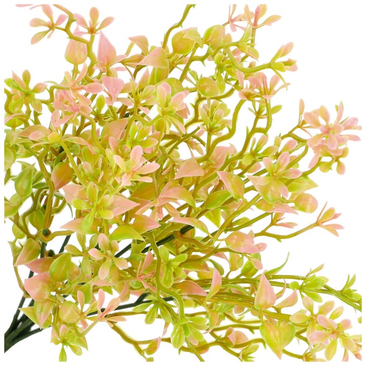 Művirágok, Dekolo.pl, többszínű