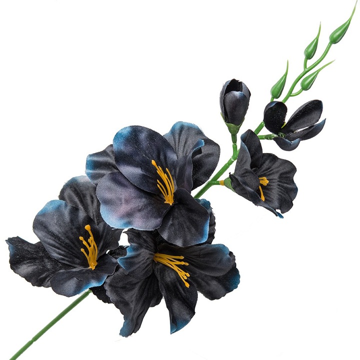 Művirágok, Dekolo.pl, Multicolor