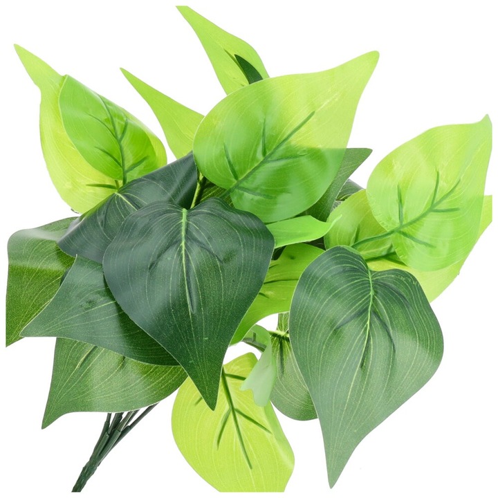 Művirágok, Dekolo.pl, zöld