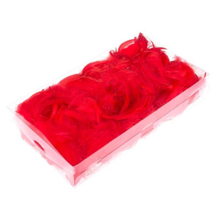 Pene decorative, Dekolo.pl, 6-10cm, 35g, Rosu