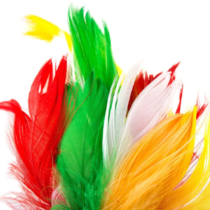 Pene decorative, Dekolo.pl, Polistiren, 6-10 cm, Multicolor