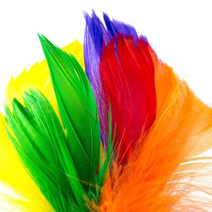 Accesorii decorative