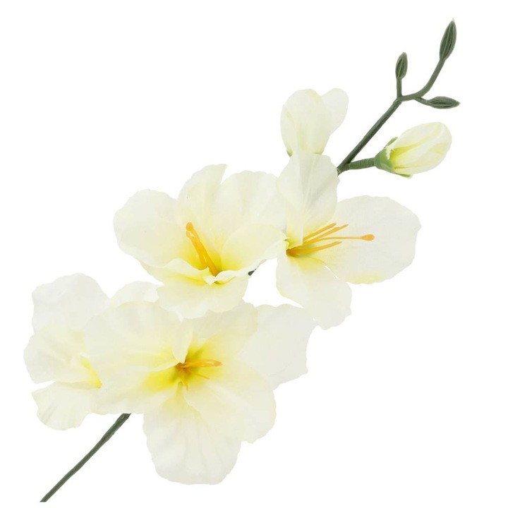 Mű kardvirág, Dekolo.pl, Szatén, 52cm, Többszínű