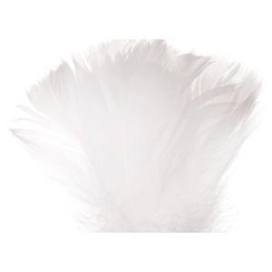 Accesorii decorative