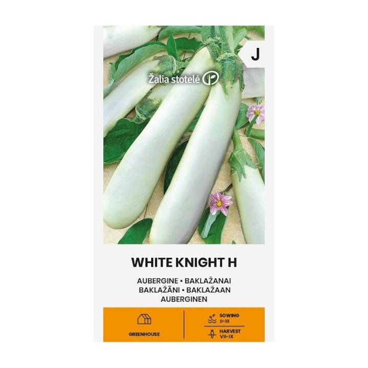 Seminte, Vinete White Knight H, Žalia Stotelė, plic, 10 buc