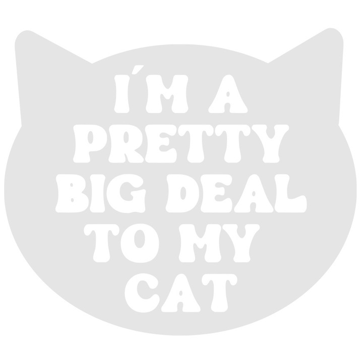 Sticker Exterior pentru persoanele care sunt destul de importante pentru pisicile lor, Vinyl Alb, 30 cm