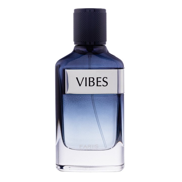 Apa de Parfum Vibes, Fariis, Barbati, 100ml