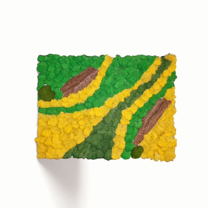 Tablou licheni campie 45 x 60 cm