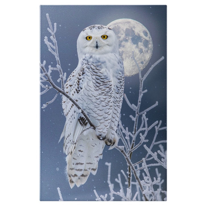 Картина на платно с бяла полярна сова с жълти очи, седнали на клон на дърво и пълна луна, дигитална картина 40x25CM