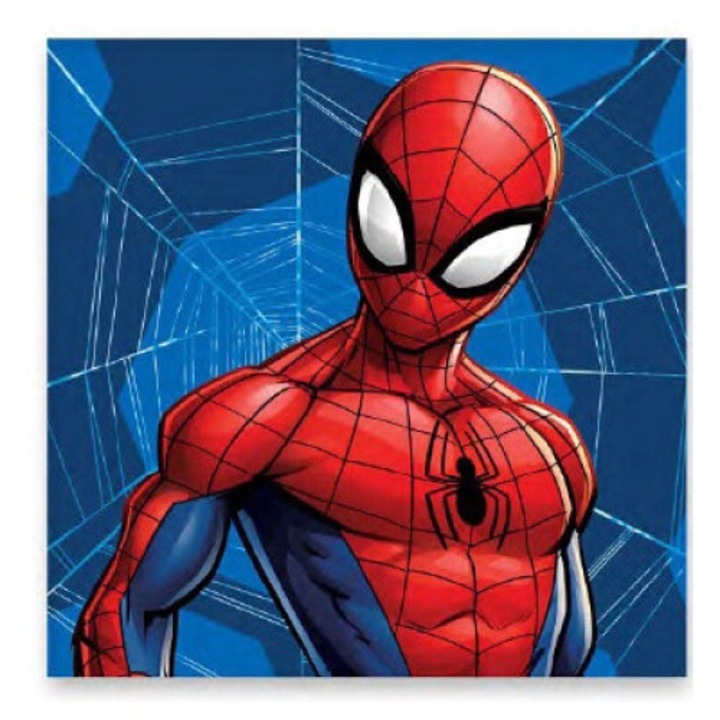 Prosop de mana Spiderman 30x30 cm
