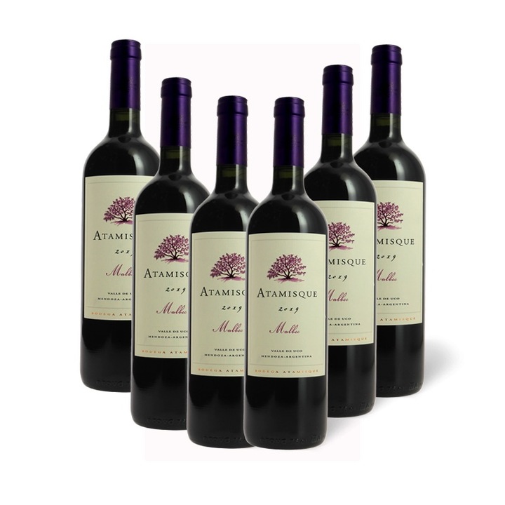 Atamisque Mendoza Malbec 2019 6X750ml